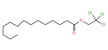 2,2,2-Trichloroethyl tetradecanoate